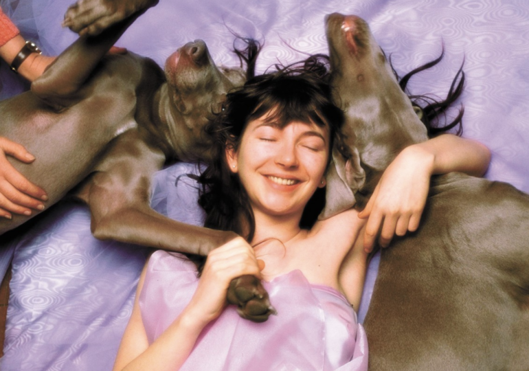The Romance of Hounds of Love